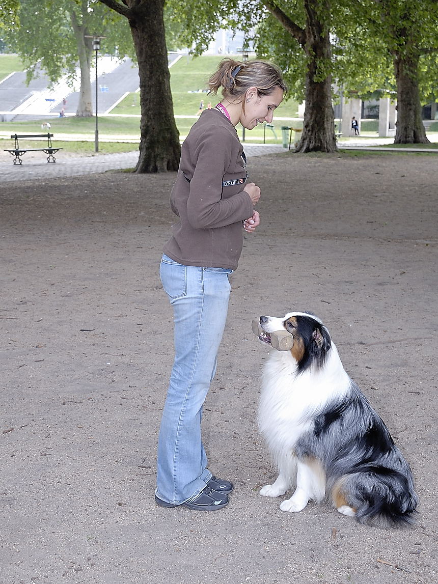 Transcend:Pictures:Education Canine (Basse Résolution):\_DSC6415
(1).jpg