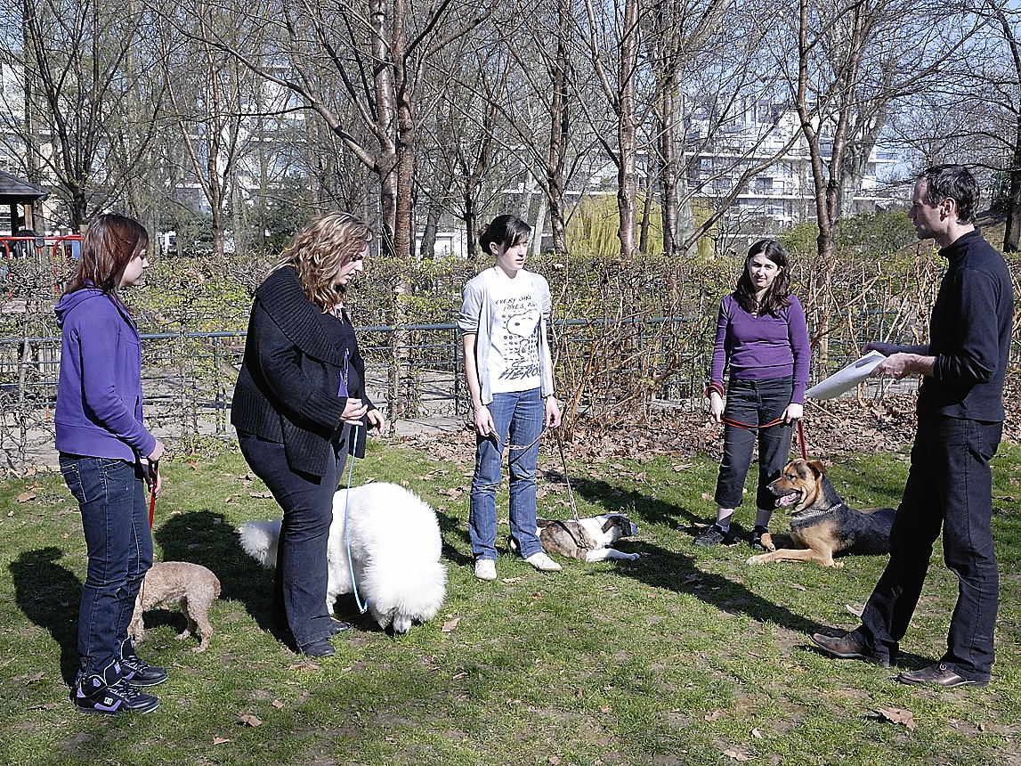 Transcend:Pictures:Education Canine (Basse
Résolution):\_DSC5716.jpg